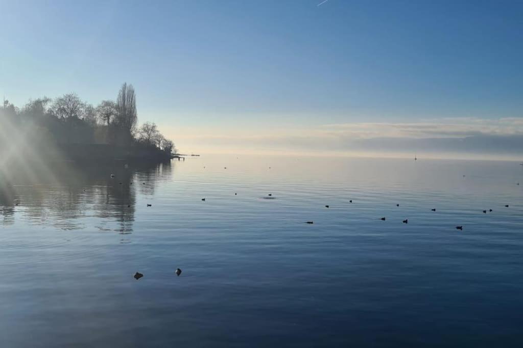 Appartement Le Boreal à Thonon-les-Bains Extérieur photo