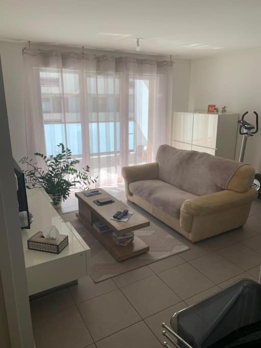 Appartement Le Boreal à Thonon-les-Bains Extérieur photo